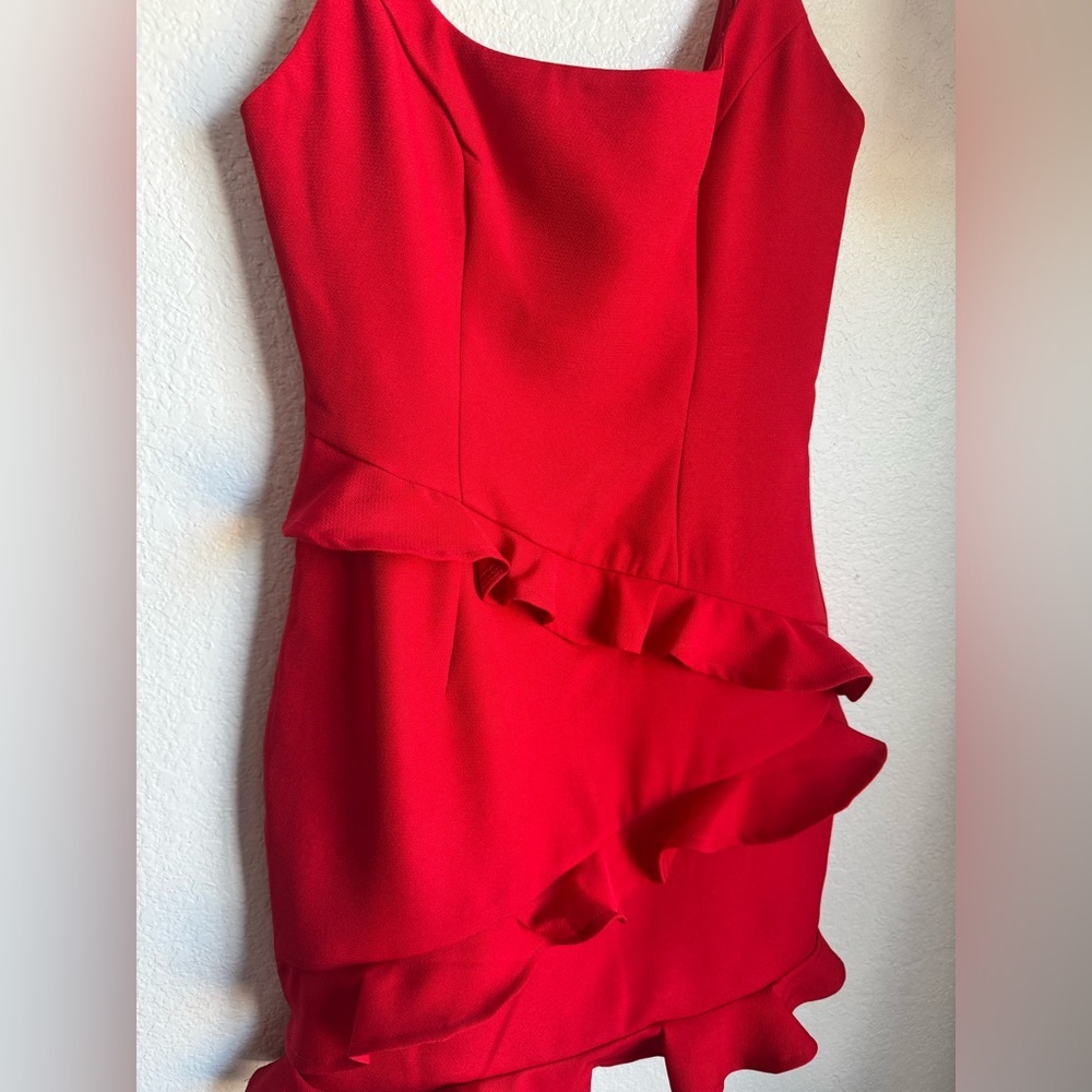 Hello Molly Ruffle Mini Dress - Picture 4 of 8